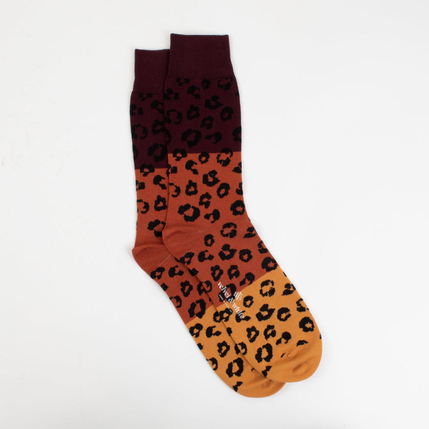 Late Night Leopard