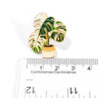 Variegated Monstera Plant | Collectible Pin