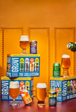 Grüvi - Variety 12 Pack