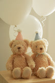Plush - Birthday Arthur - Sky - Snuggle Bunnies
