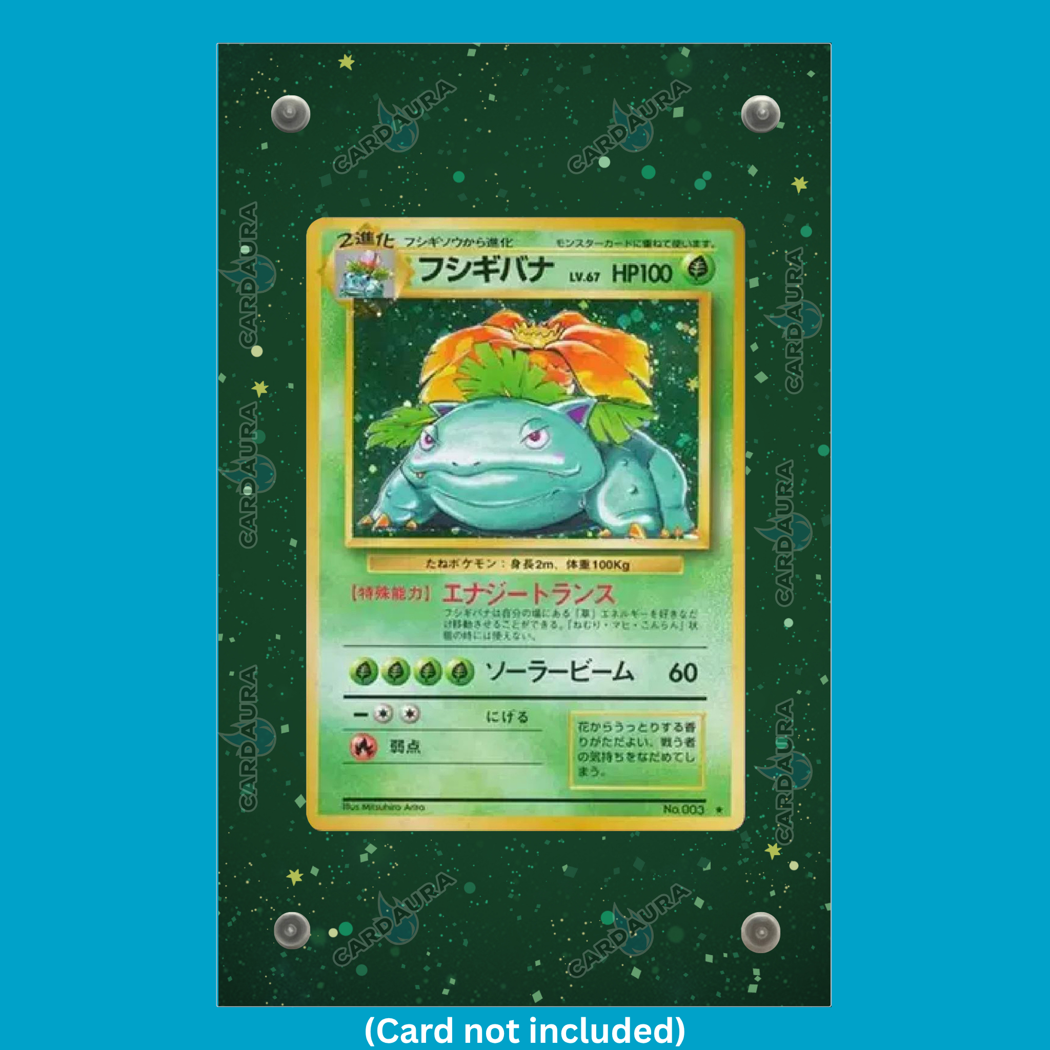 Venusaur 15/102 Base Set (Ungraded) Display Case