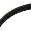 W11213879 Drive Belt for Whirlpool Washing Machine
