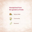 Oily (Kapha) Skin Bundle