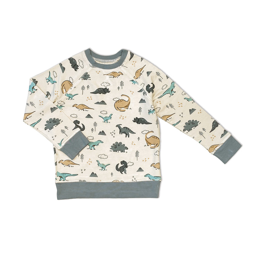 Sweat-shirt en polaire de bambou (imprimé Dinosaure)