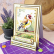Whopper Topper Pad - Britain's Favourite Birds