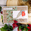 Winter Robins Luxury Inserts & Papers
