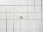 WP3400805 Dryer Screw Replacement Part by Whirlpool