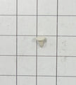 WPW10520304 Whirlpool Refrigerator Plug Button Part