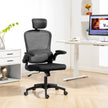 Owen Ergonomic Mesh Office Chair with High Back, Rotatable Headrest, Flip-Up Armrests and Lumbar Support-Black