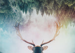 Wall Art Antler Spiritual