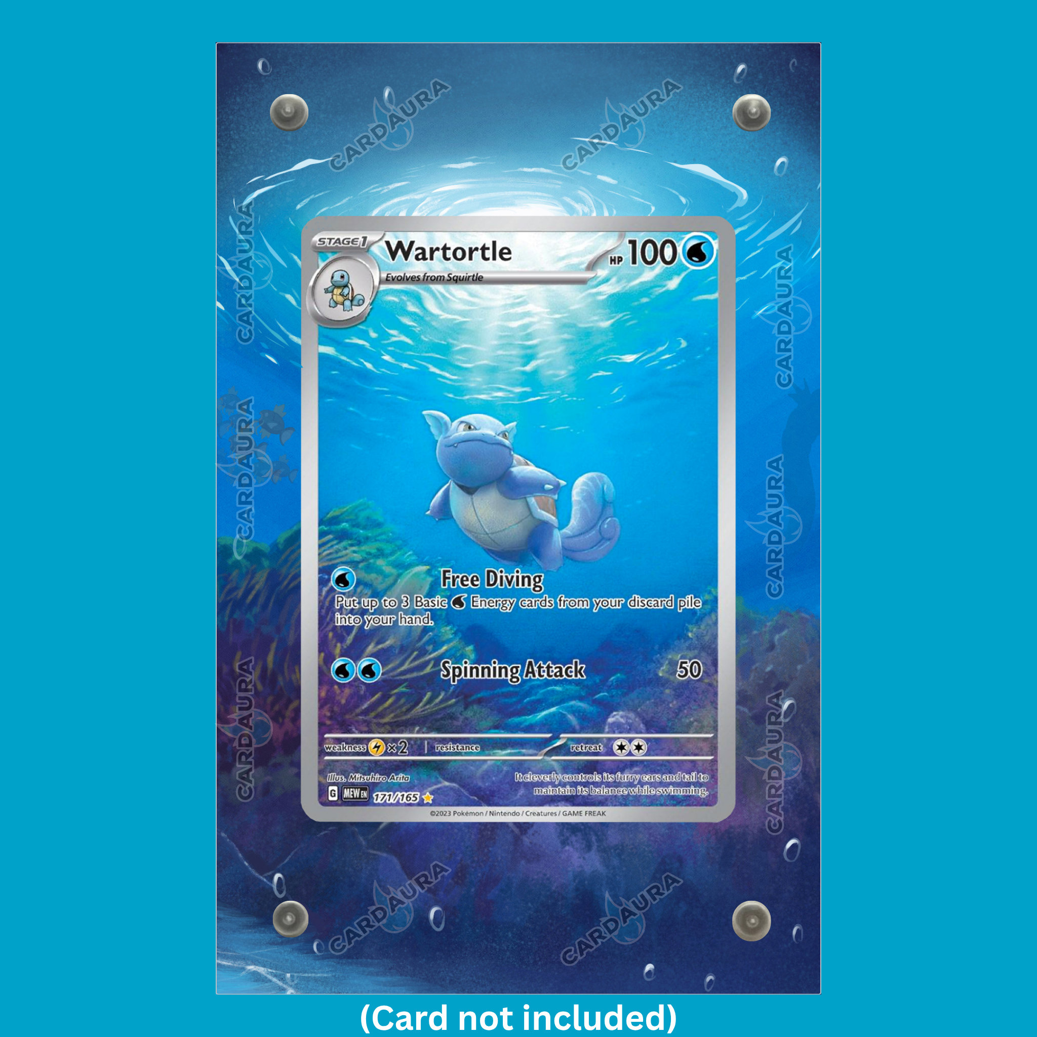 Wartortle 171/165 151 (Ungraded) Display Case
