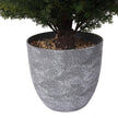 Kingston Faux Potted Cedar Topiary Plant 24''