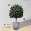 Kingston Faux Potted Cedar Topiary Plant 24''