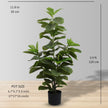YESO ARTIFICIAL FIDDLE POTTED PLANT 48