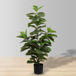 YESO ARTIFICIAL FIDDLE POTTED PLANT 48
