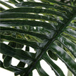 OKO FAUX POTTED PALM TREE PLANT 5'