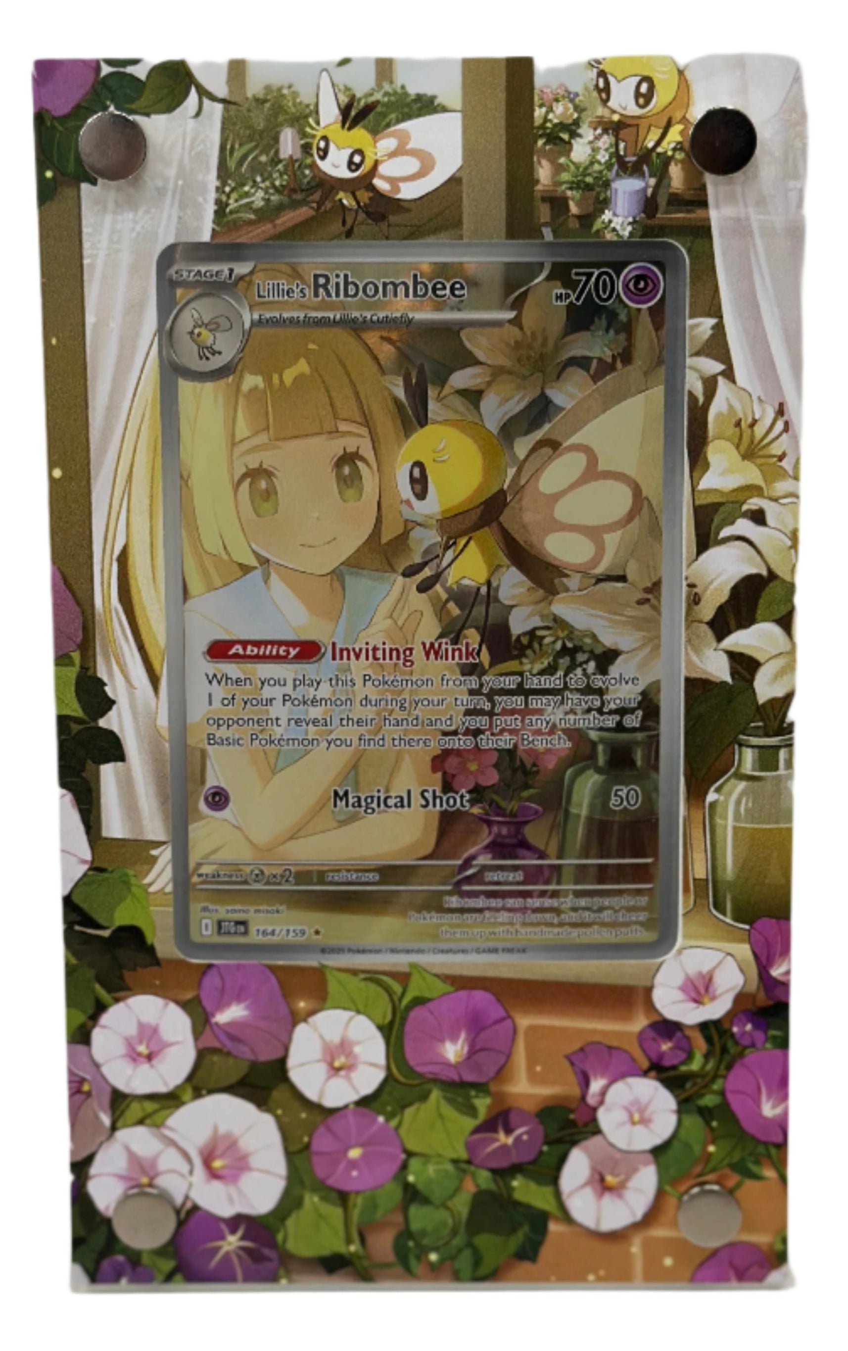 Pokemon TCG High Rarity Display Case
