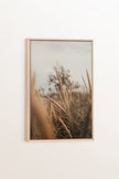 WHEAT, Oeuvre sur toile étirée