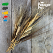 Wheat Spray