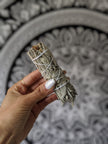 White Sage - 4