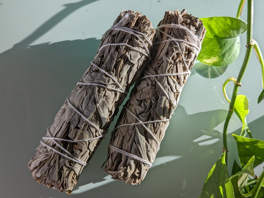 White Sage - 6