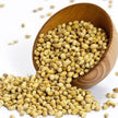 Coriander seeds (Dhana)