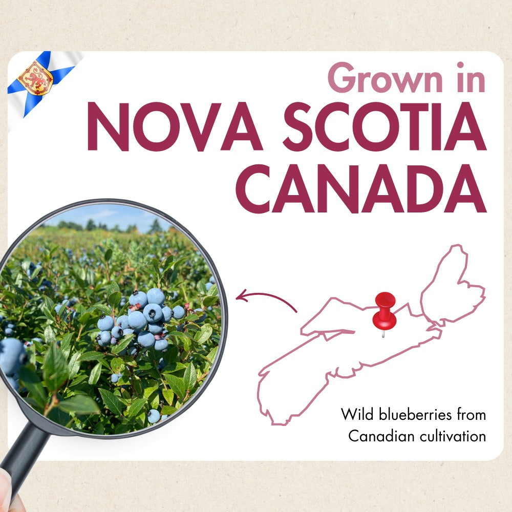Wild Blueberry Powder 150 g - Made in Canada