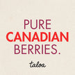 Wild Blueberry Powder 150 g - Made in Canada