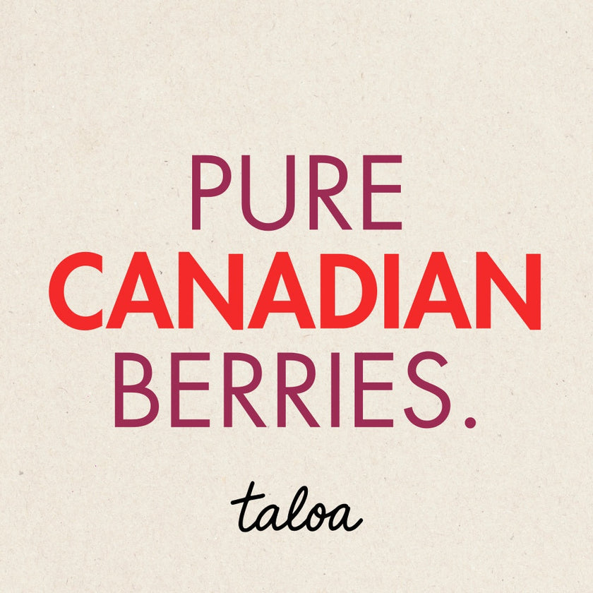 Wild Blueberry Powder 150 g - Made in Canada
