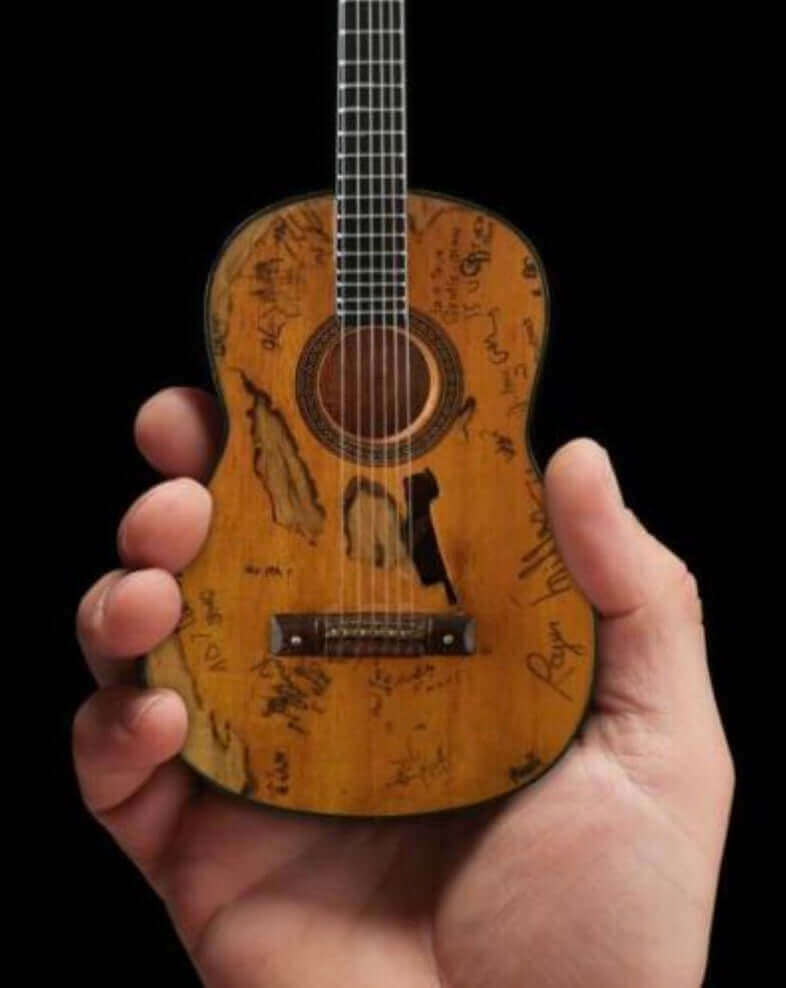 Willie Nelson 