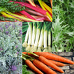 The Winter Harvest Collection