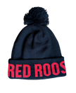 Winter Toque