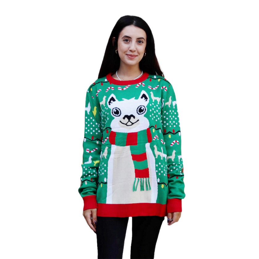 Pull en laine de lama d'hiver