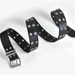 Women's Fashion Stars Decorative Double row Belt