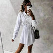 Women's Solid Color Shirt Collar Dress