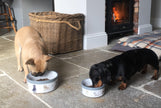 Wrendale DESIGNS - Pet Bowl - Dogs | 6 Inch