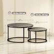 Zephyr Modern Nesting Coffee Table with Faux Marble Top-Grey