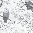 Hoffman - Midnight Perch - Silver Owl - X7798H-597S