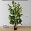 Xavi Artificial Fishtail Palm Tree Potted Plant (Multiple Sizes)