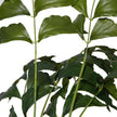 Xavi Artificial Fishtail Palm Tree Potted Plant (Multiple Sizes)