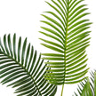 Xelo Artificial Hawaii Kwai Palm Tree Potted Plant (Multiple Sizes)
