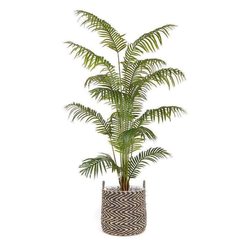 Ximena Water Hyacinth Planter