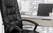 Xtech - Chair - Calabria | Executive office chair with armrests (AM160GEN32)
