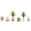 Yara Artificial Aloe Potted Plant 51
