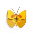 Yellow Butterfly