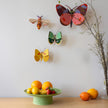 Yellow Butterfly