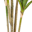 Yulu Artificial Century Potted Plant (Multiple Sizes)