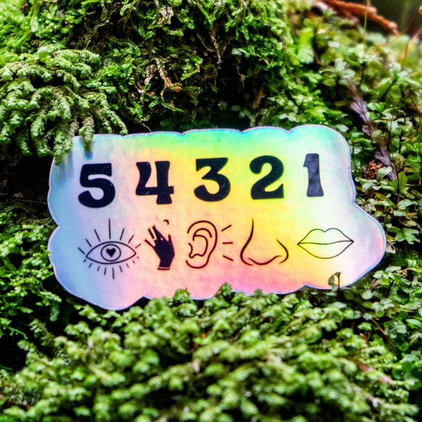 54321 Holographic Grounding Sticker