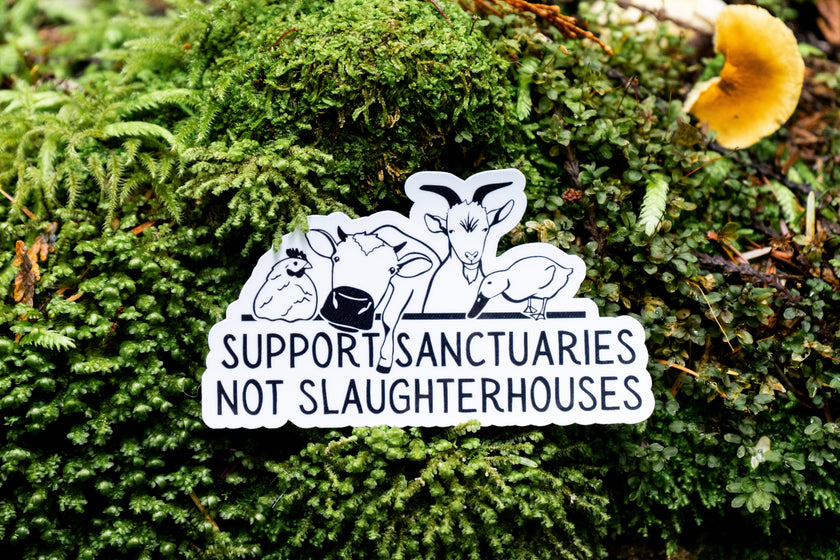 Support Sanctuaries Not Slaughterhouses Vegan Sticker