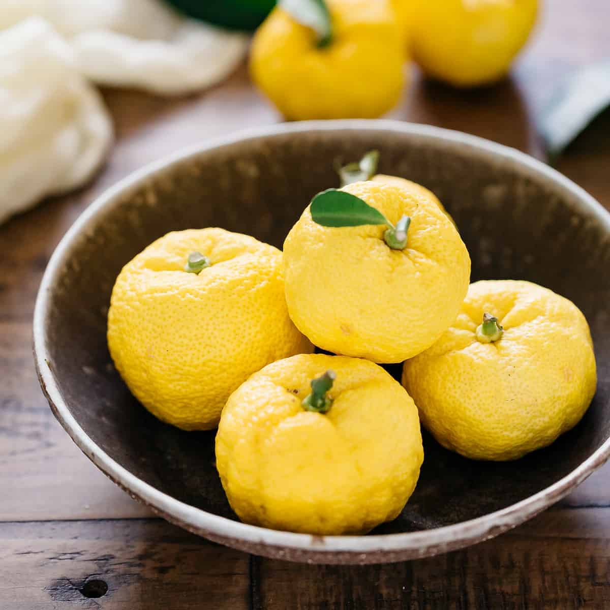 SE: Japanese Yuzu Fruit
